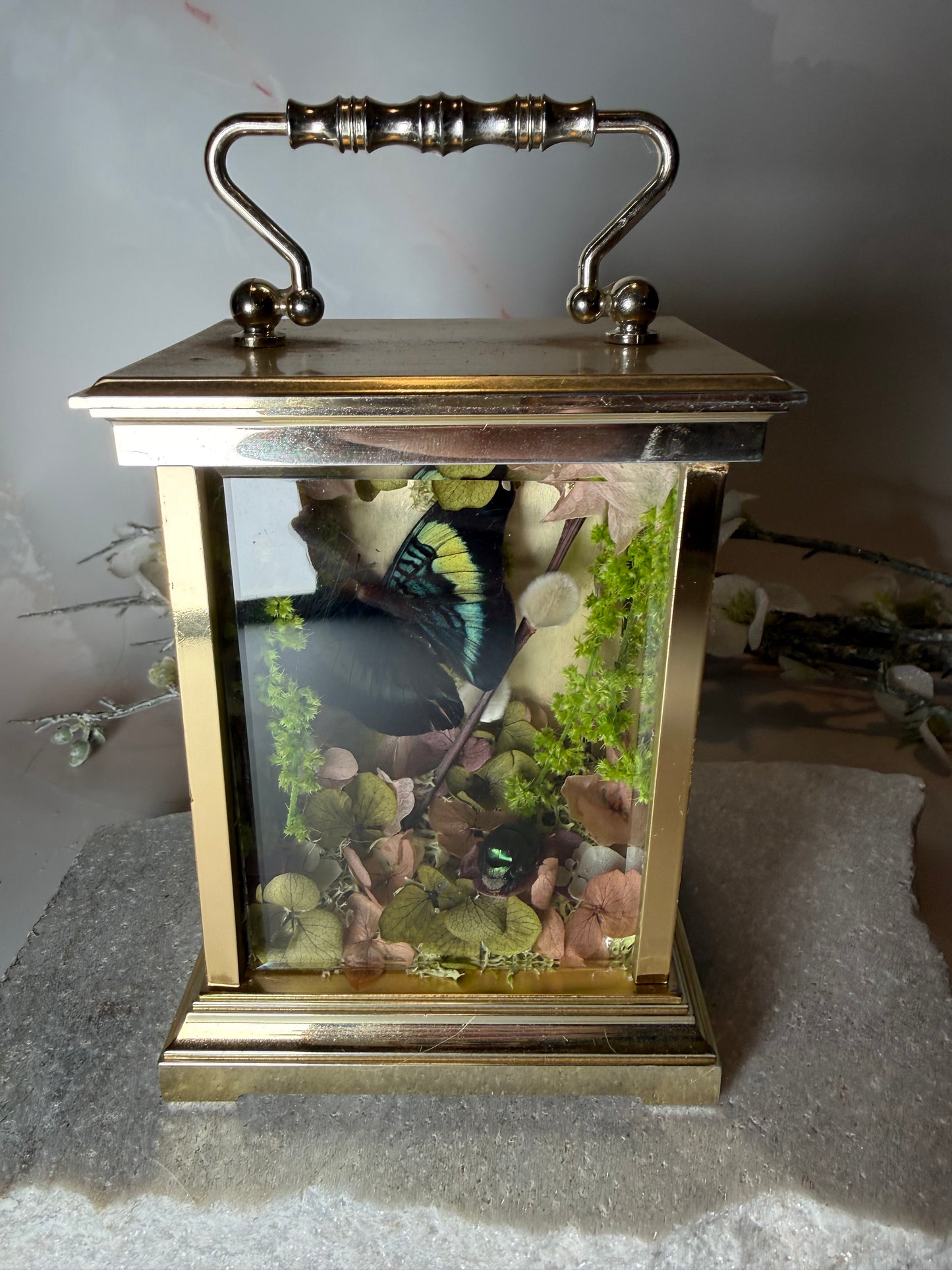 Antique Mantle Clock Dome - Prancea Prolia