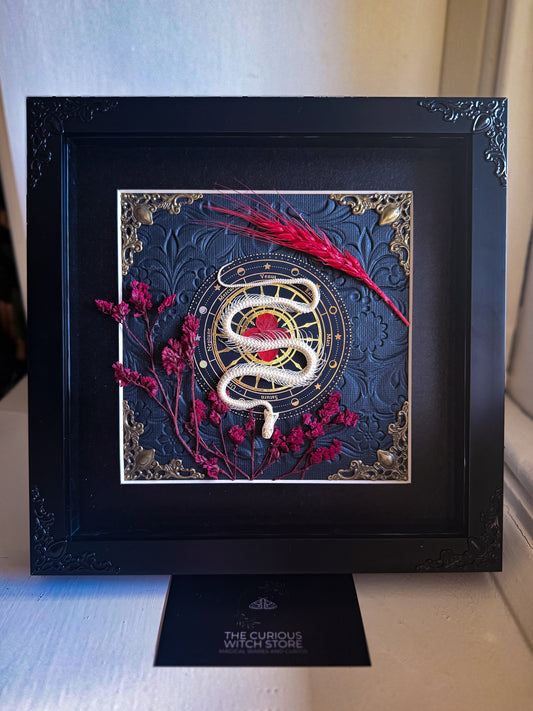 Mounted Snake Skeleton - Real Articulated Snake Skeleton Ornate Red
