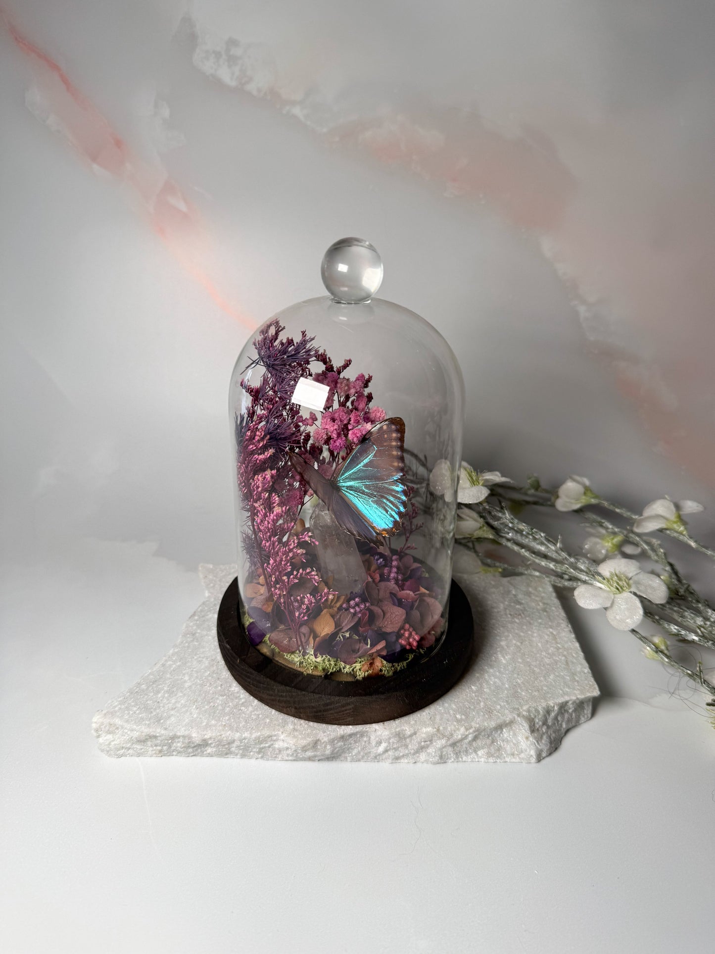 Morpho Portis Cloche dome - Quartz