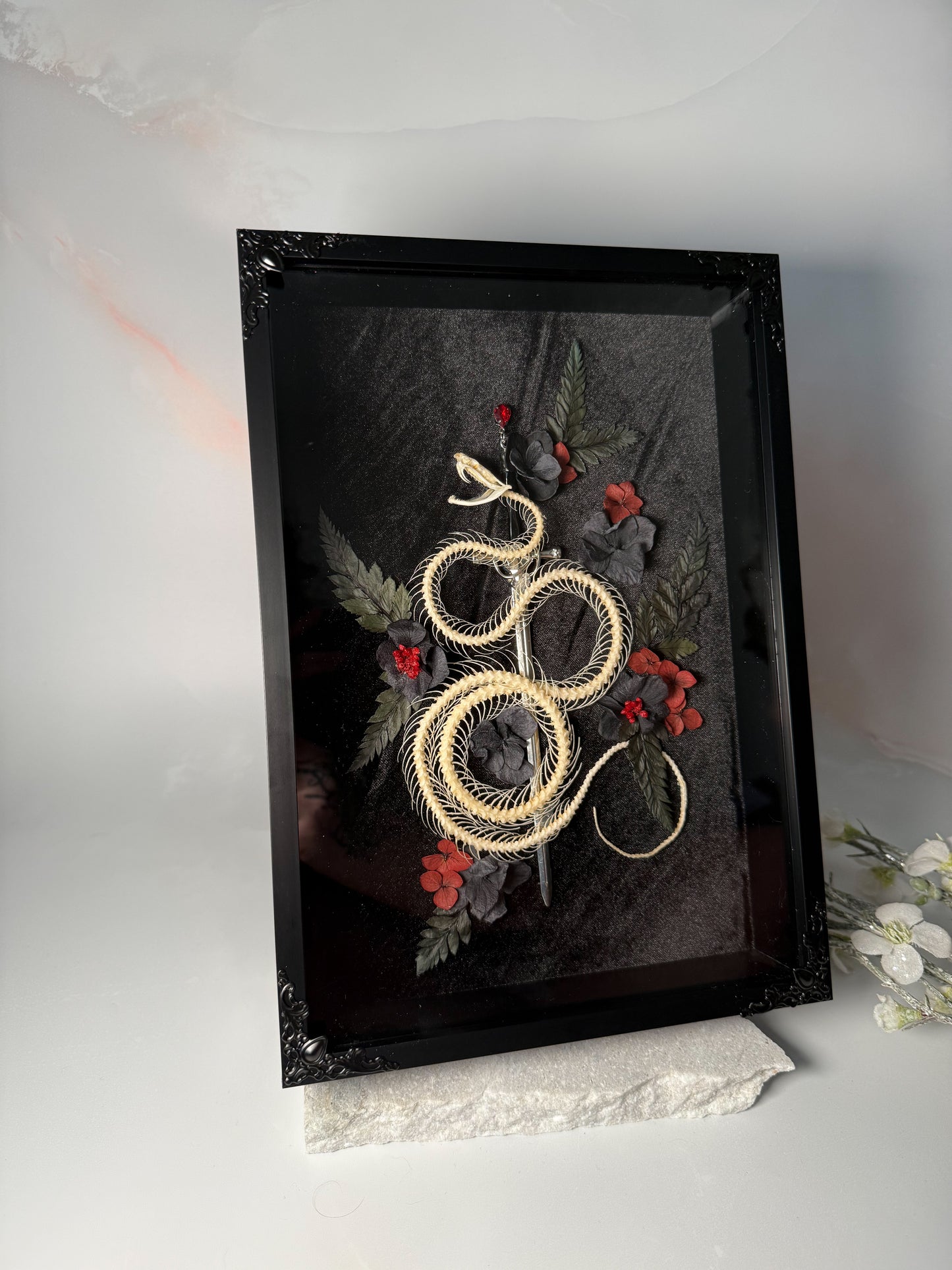 Trimeresurus Albolaboris Snake Skeleton - Vampiric Crypt