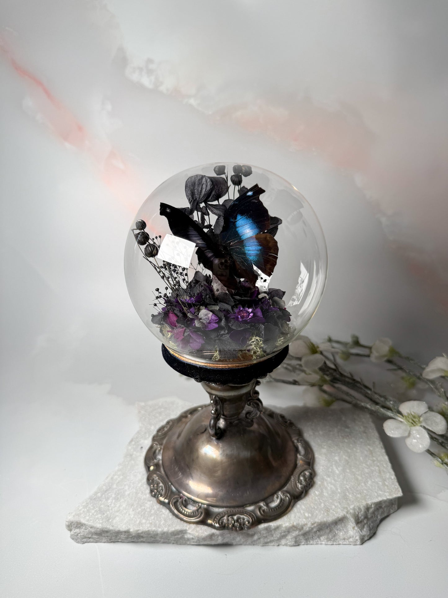 Napeocles Jucunda Antique Candleholder dome