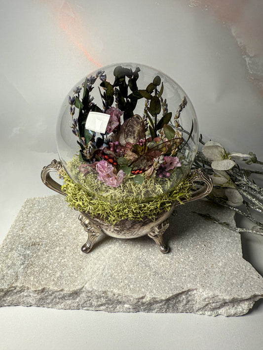 Cithaerias Pyropina Butterfly - Antique Sugar Jar Dome