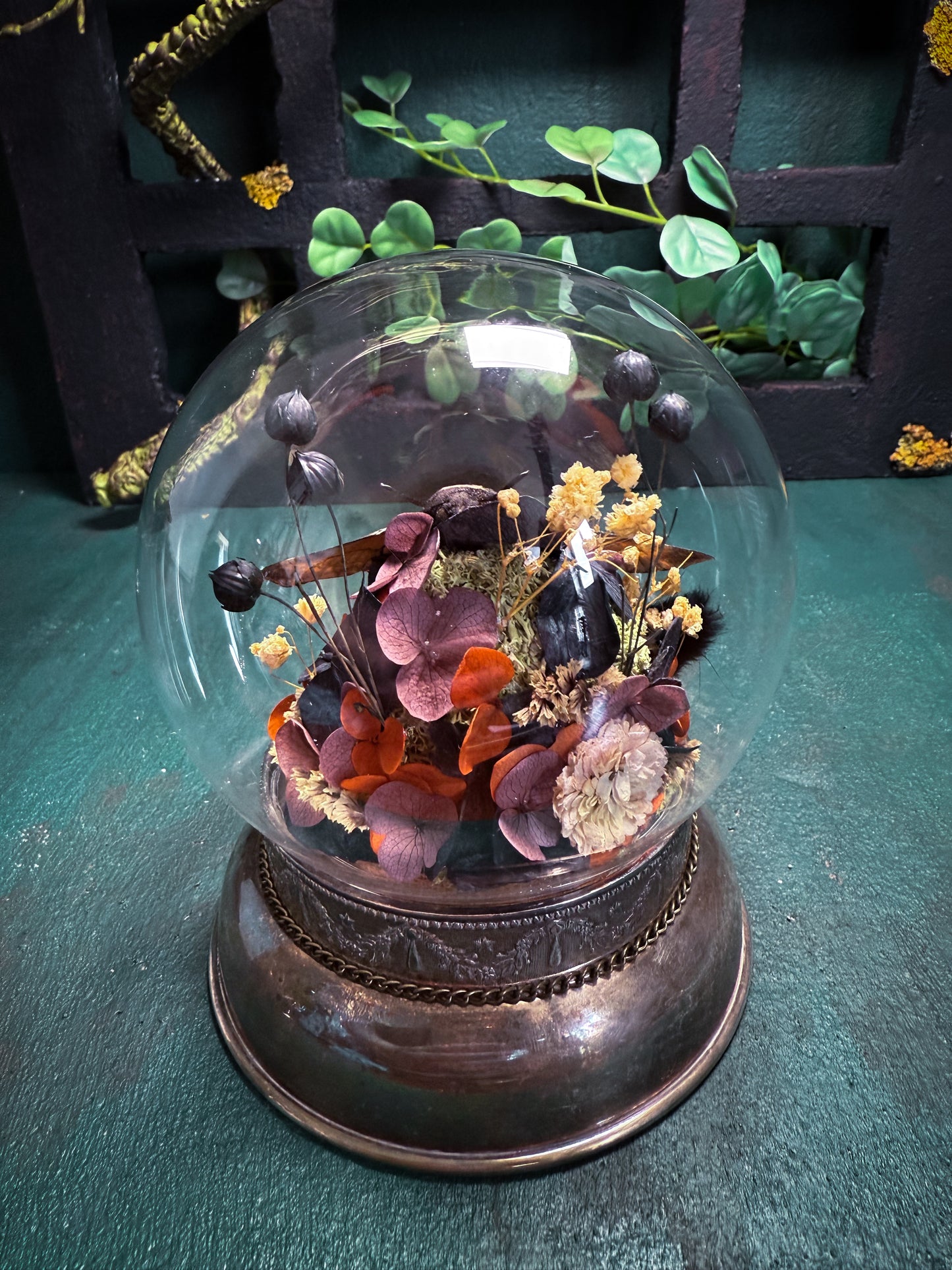 Acherontia atropos/Deathshead Hawkmoth - Antique Style Dome & Trinket