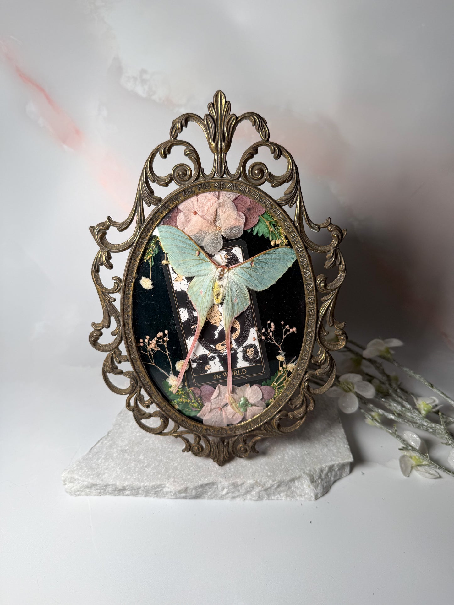Actius Dubernardi - Antique convex frame