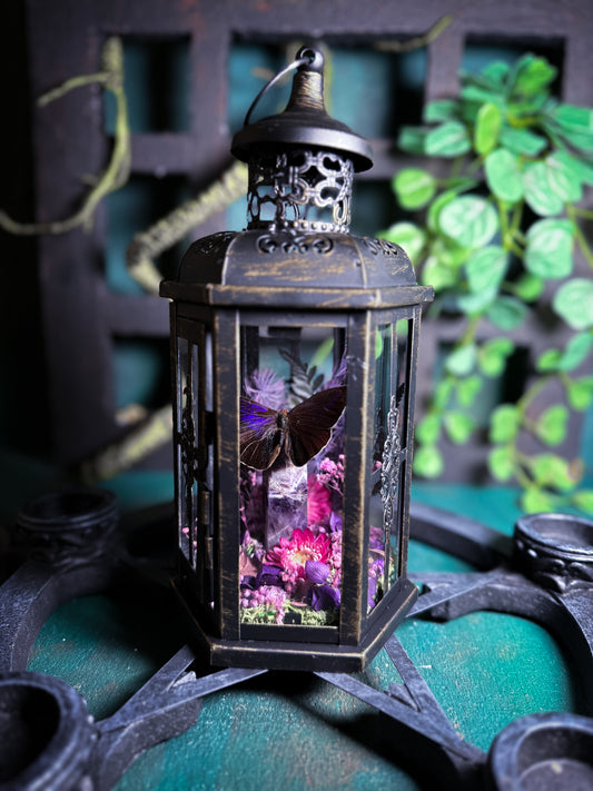 Fae Lantern - Amethyst Garden