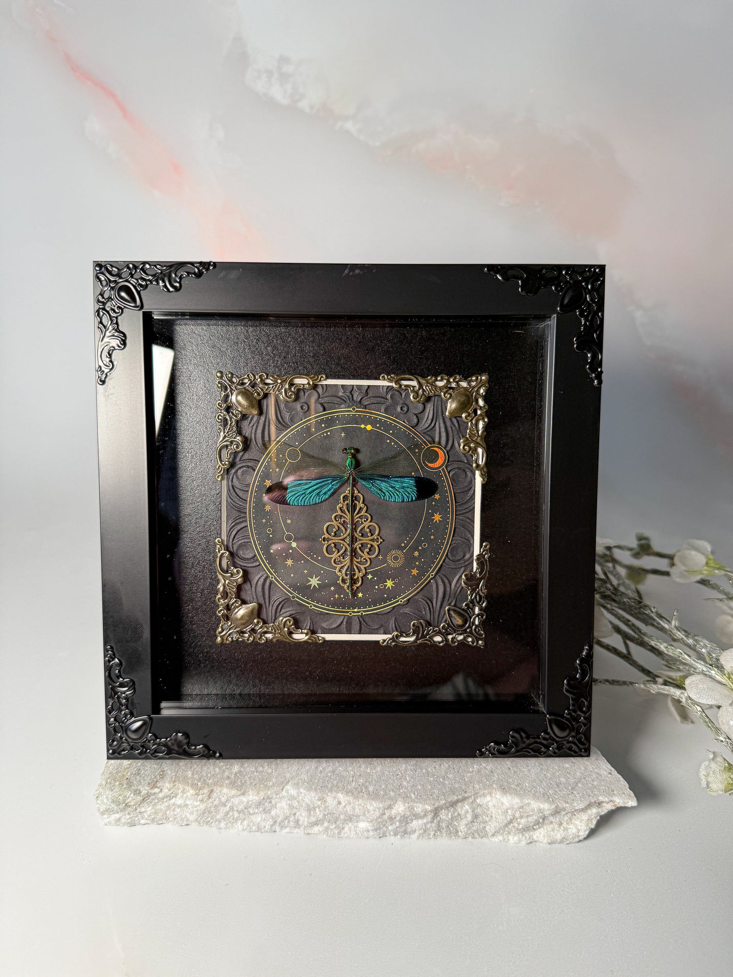 Neurobasis Chinensis Damselfly - Stars