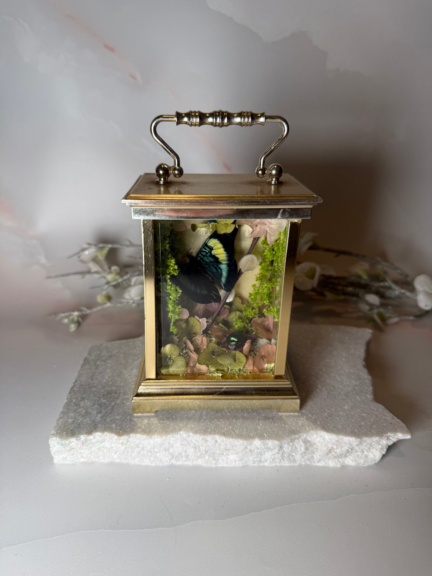 Antique Mantle Clock Dome - Prancea Prolia