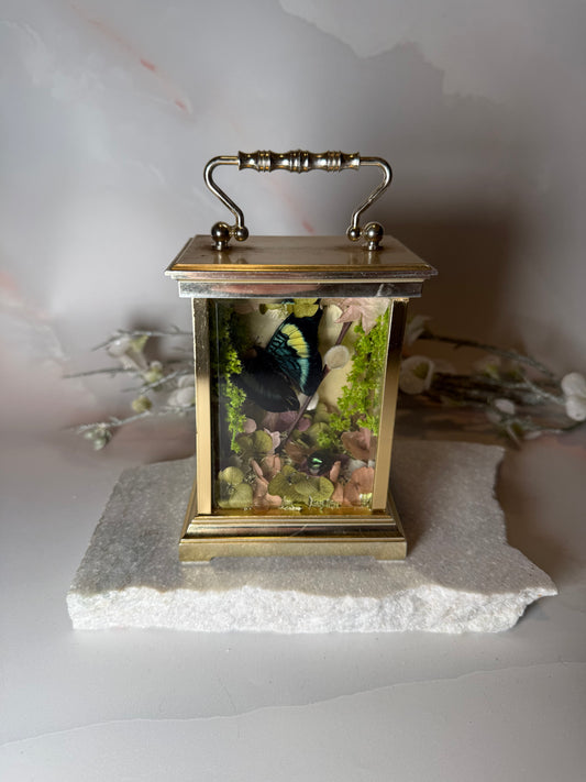Antique Mantle Clock Dome - Prancea Prolia