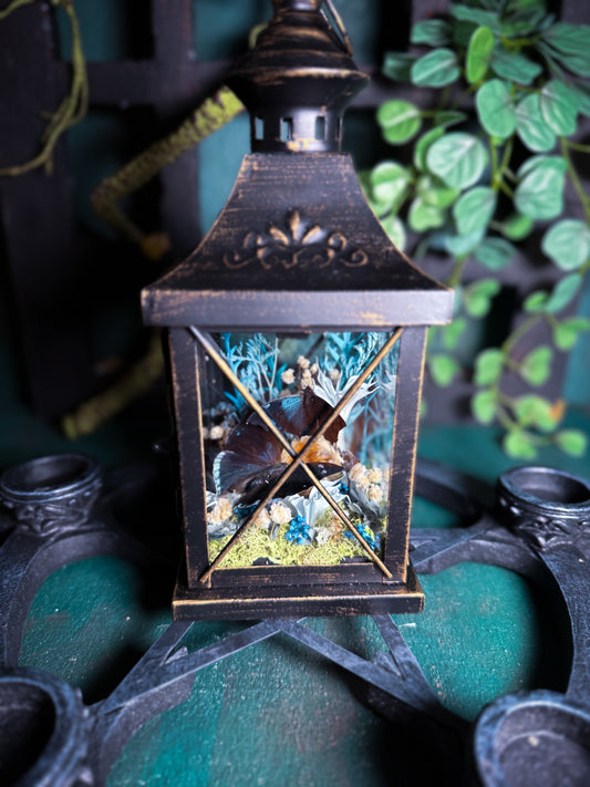 Fae Lantern - Blue Meadow