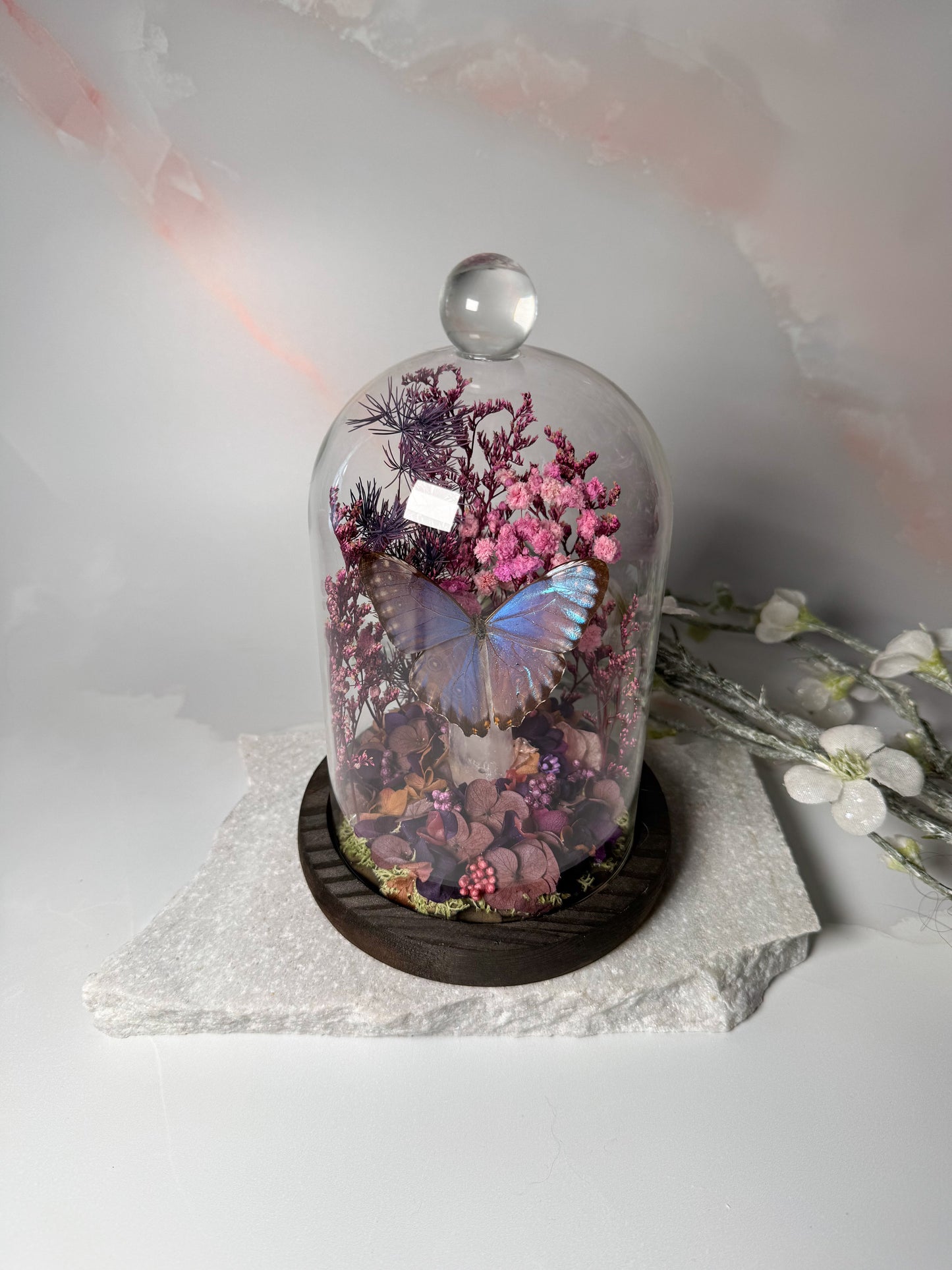 Morpho Portis Cloche dome - Quartz