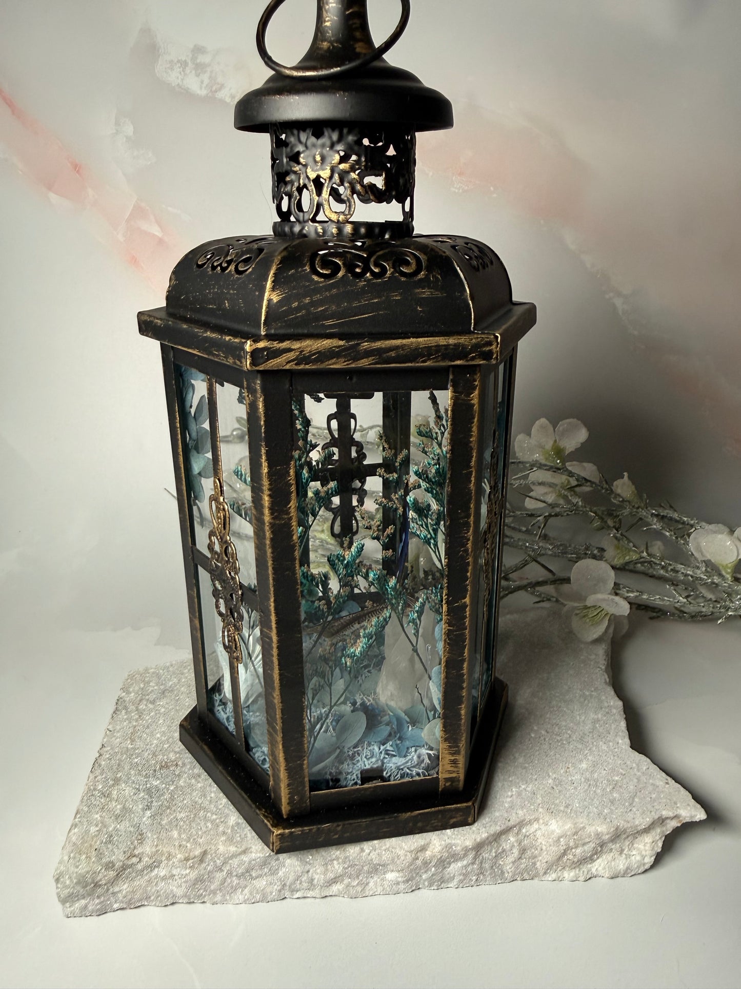 Fae Lantern Polygraphia Cyanea - Winter blossom