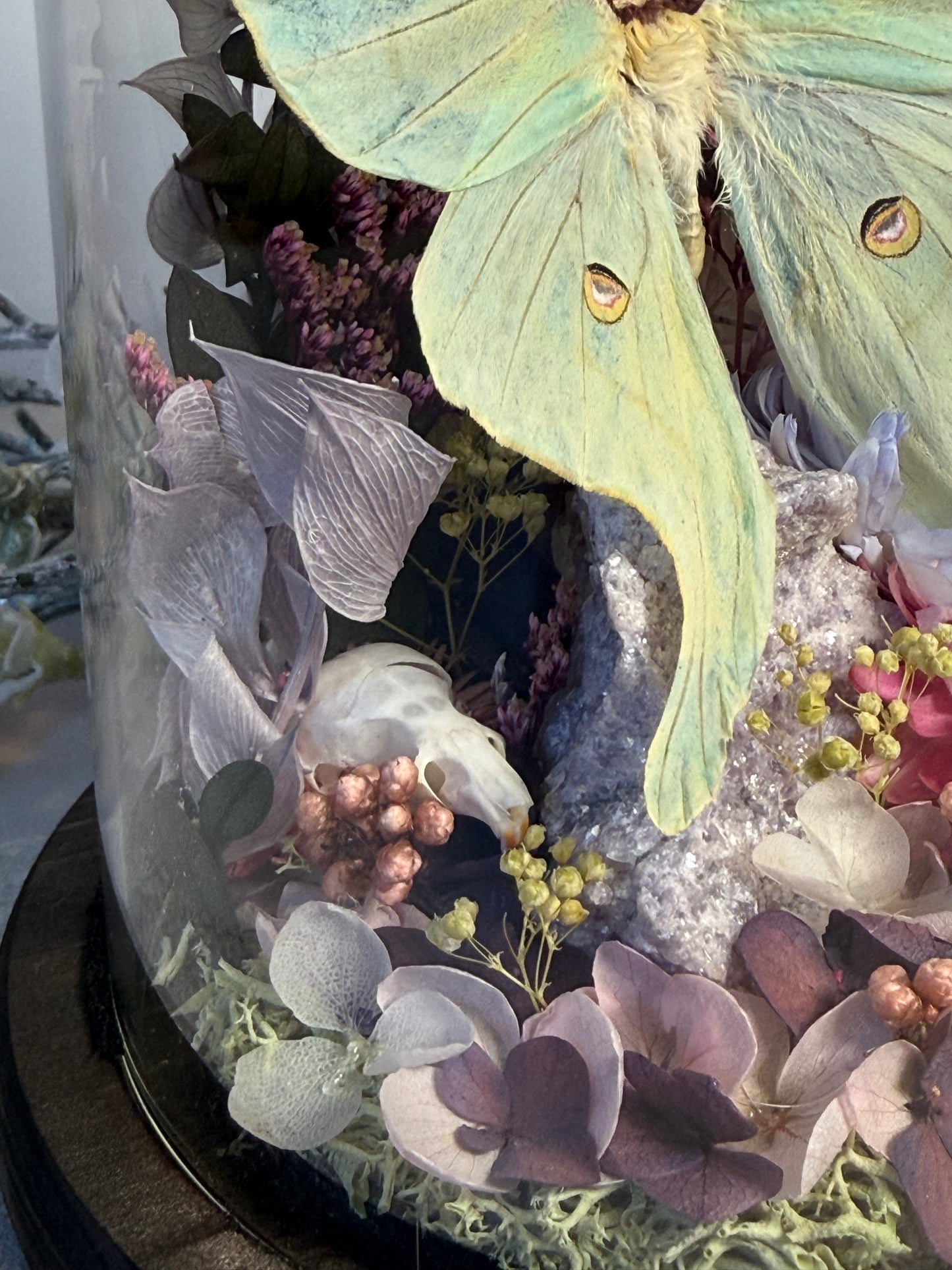 Actias Luna x Rat Skull x Lepidolite Cloche Dome