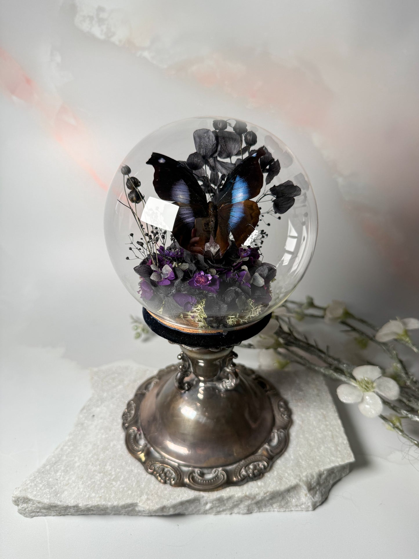 Napeocles Jucunda Antique Candleholder dome