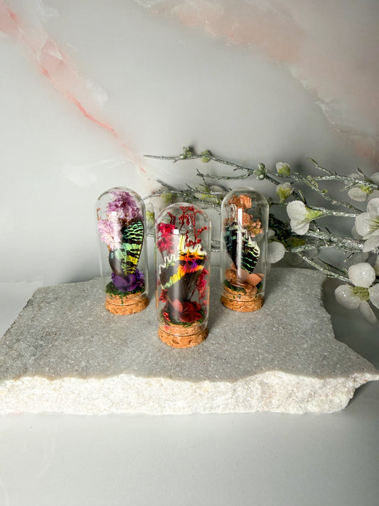Wing Jar, Moth & Butterfly (random)
