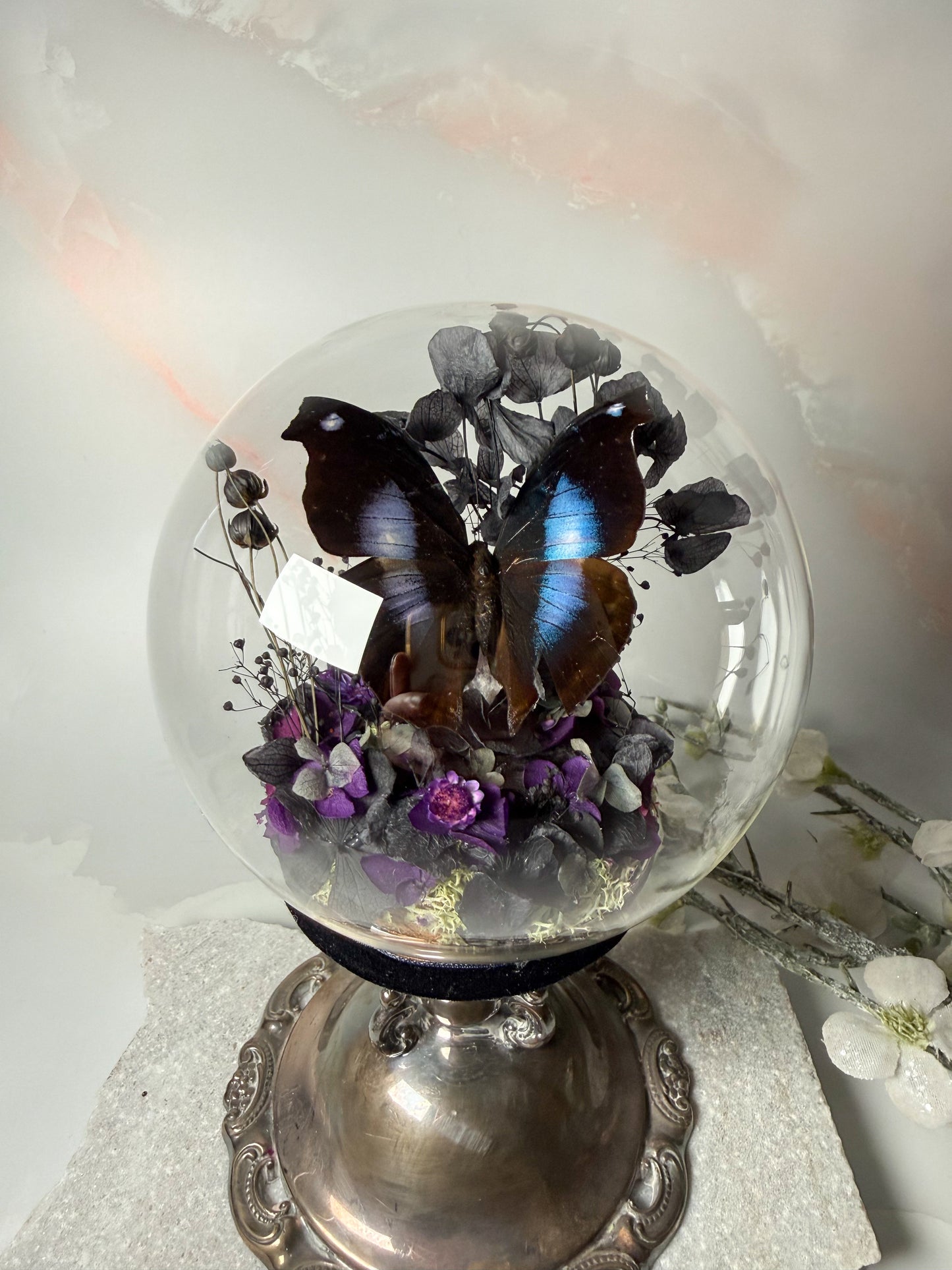 Napeocles Jucunda Antique Candleholder dome