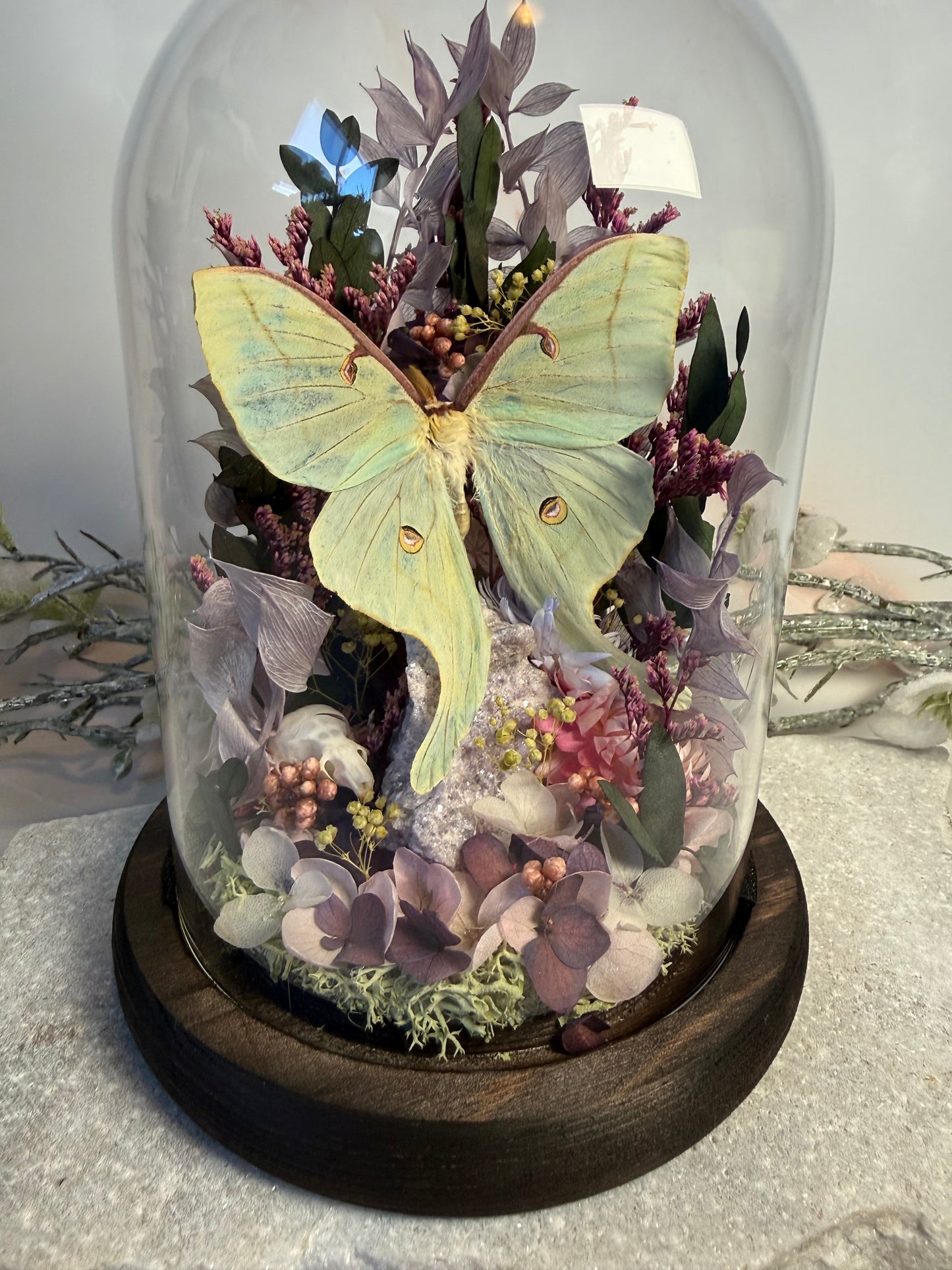 Actias Luna x Rat Skull x Lepidolite Cloche Dome