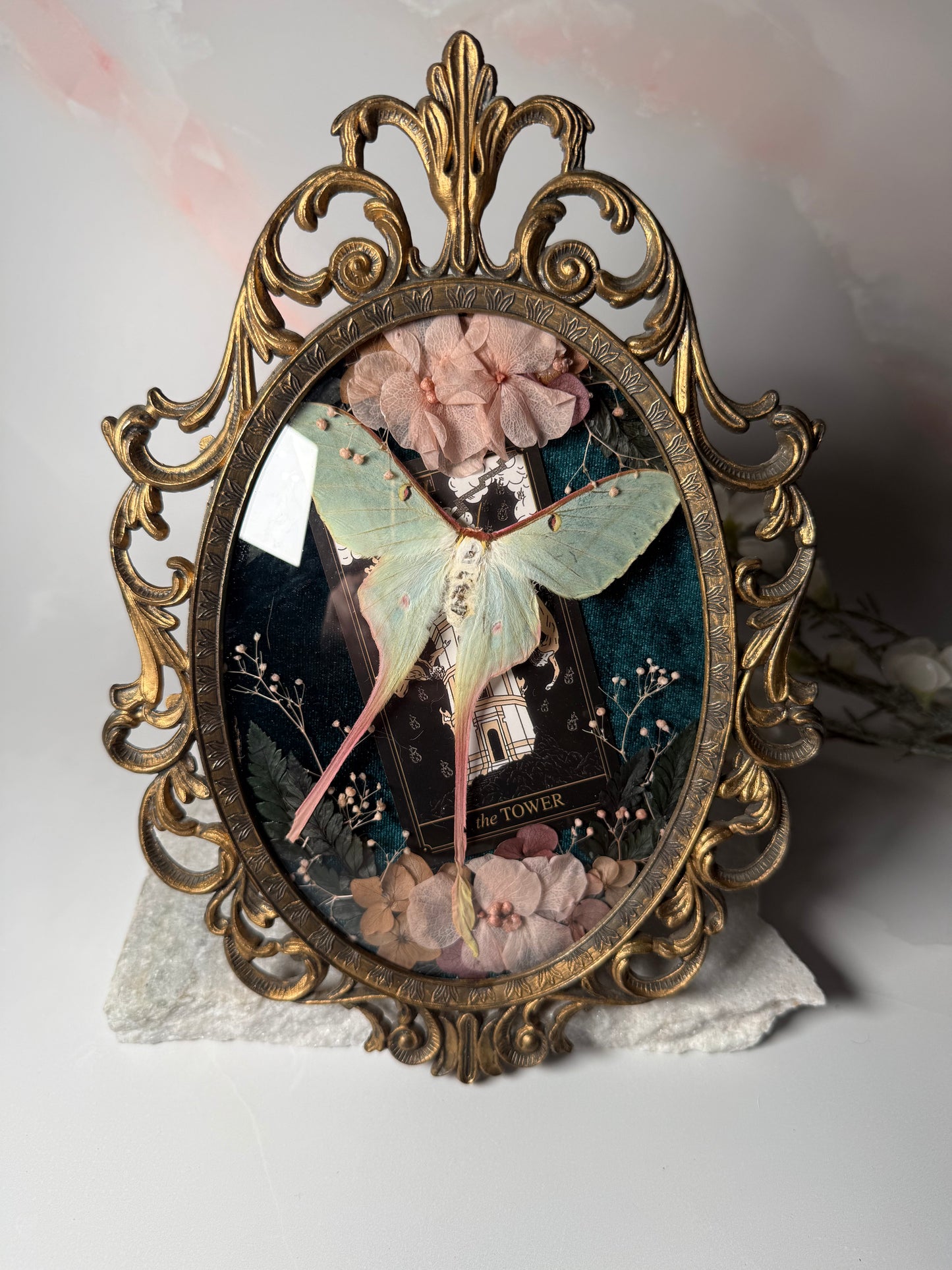 Actius Dubernardi - Antique convex frame