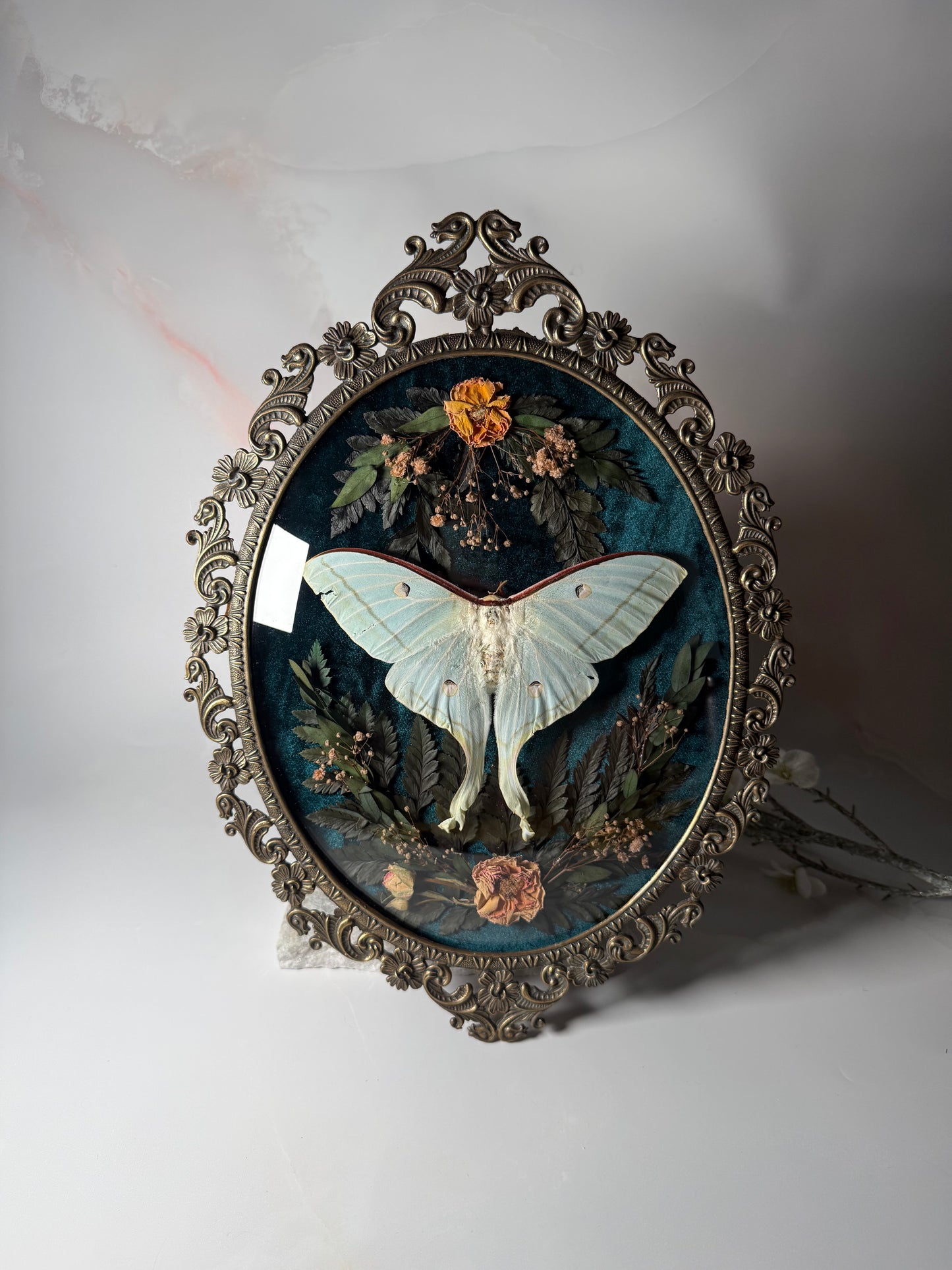 Actius Selene - Antique convex frame Rose