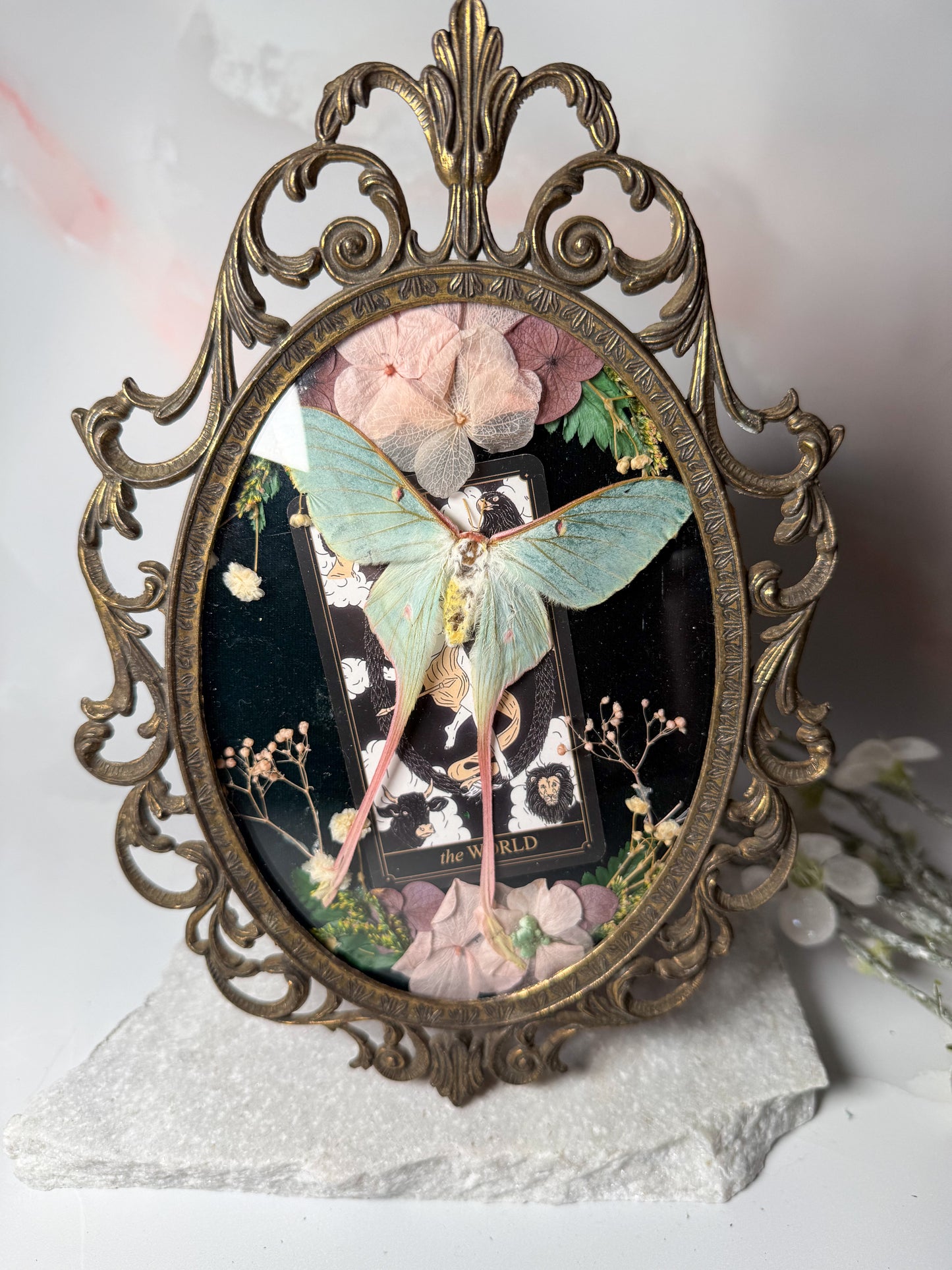 Actius Dubernardi - Antique convex frame