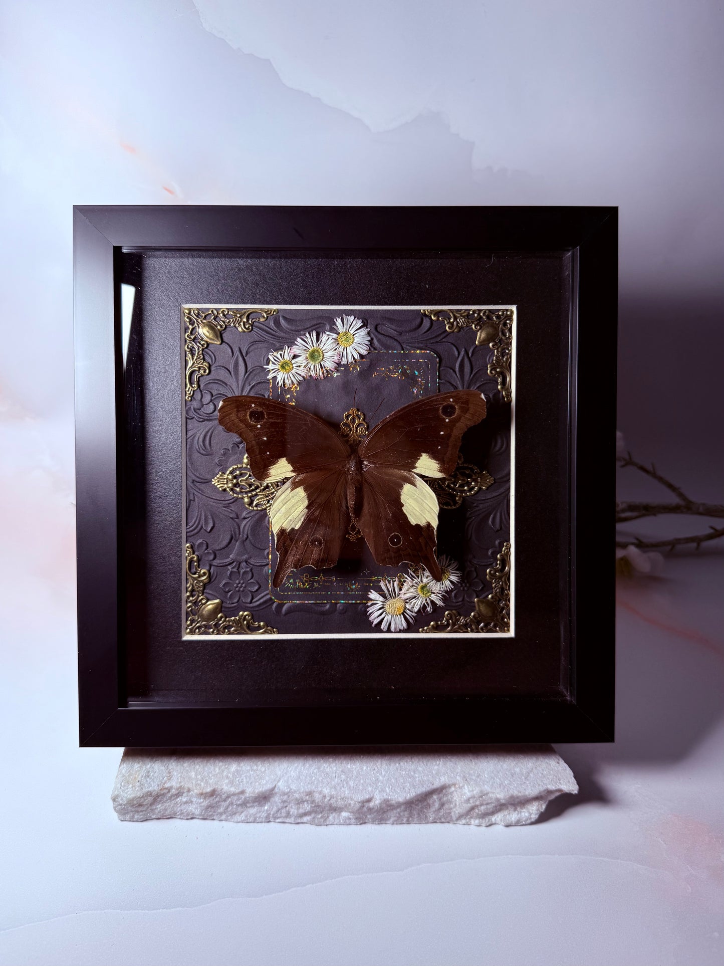 Neorina Lowi - Gold Ornamental