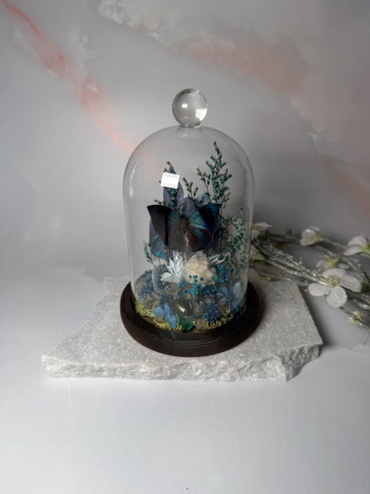 Memphis Philumena - Cloche dome