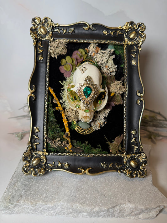 Overgrown Cat Skull - Luna Garden