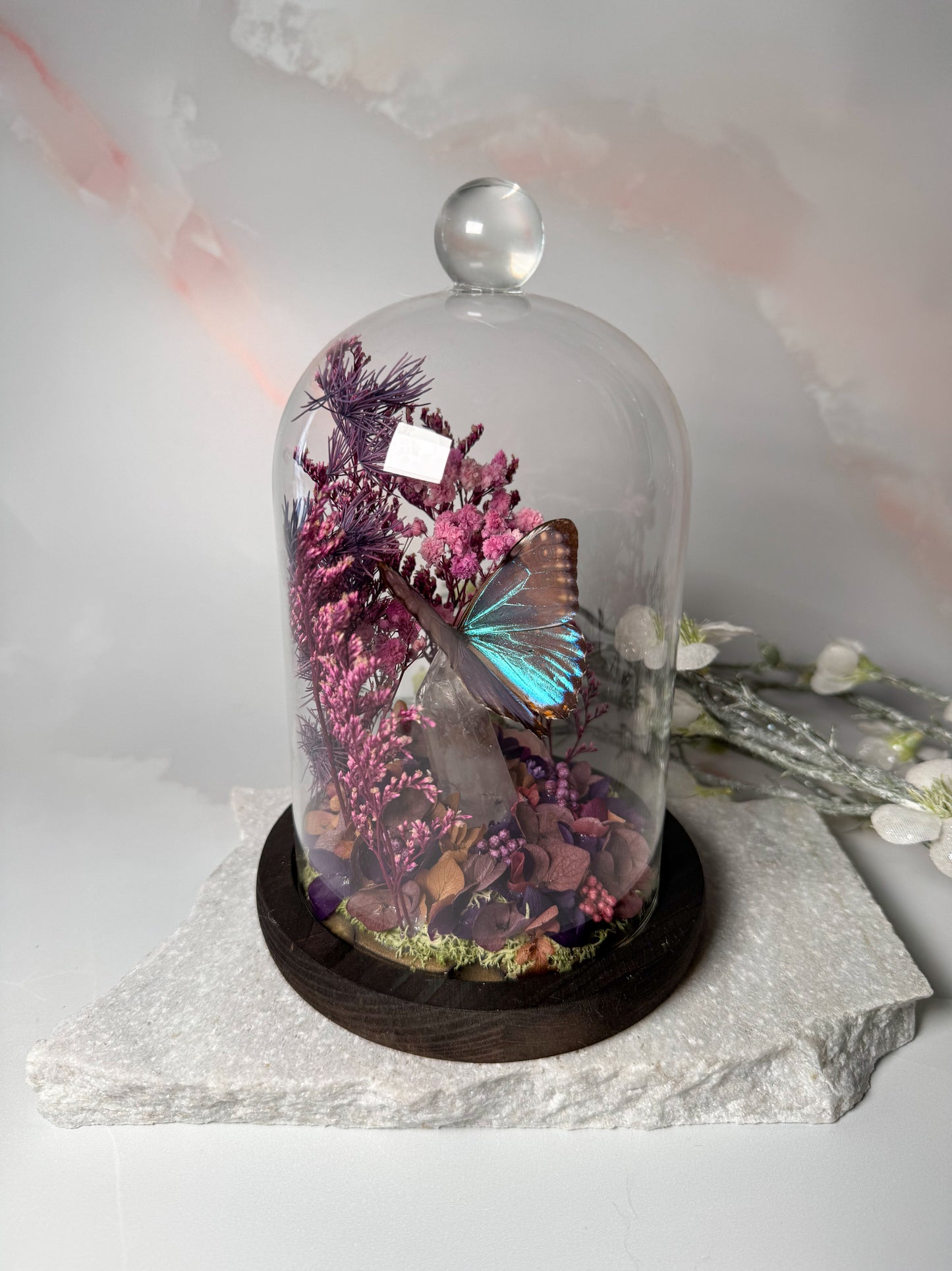 Morpho Portis Cloche dome - Quartz
