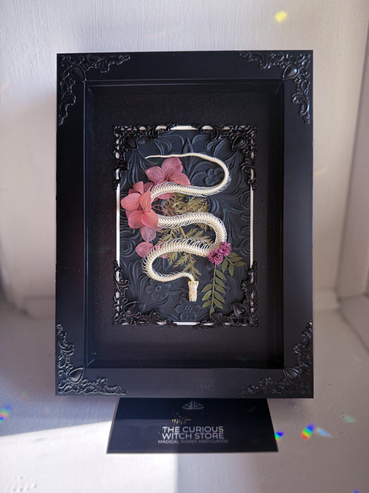 Mounted Snake Skeleton - Real Articulated Rice Paddy Snake Pink Flowers