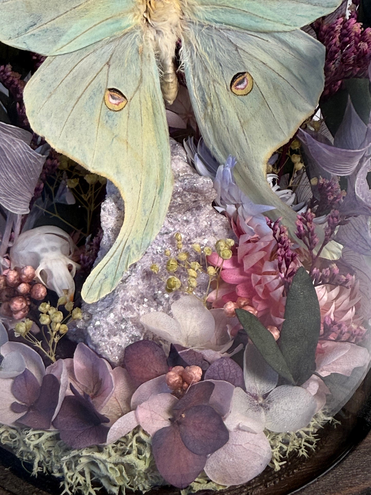 Actias Luna x Rat Skull x Lepidolite Cloche Dome