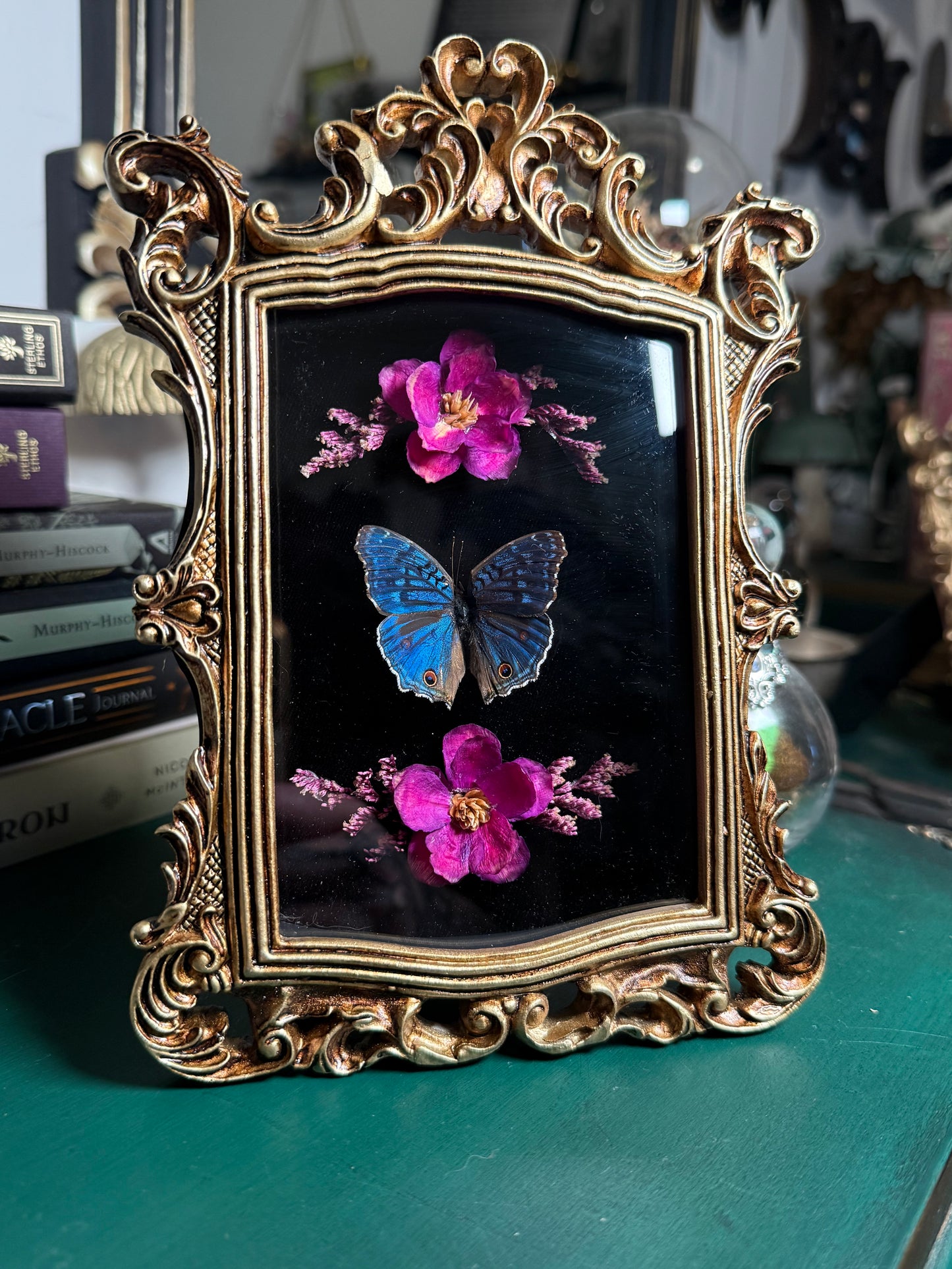 Precis rhadama - Ornate Shadow box