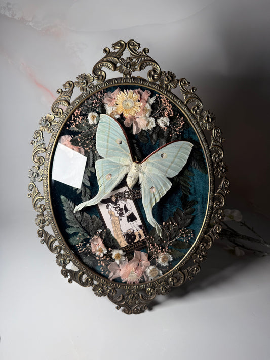 Actius Selene - Antique convex frame two of cups