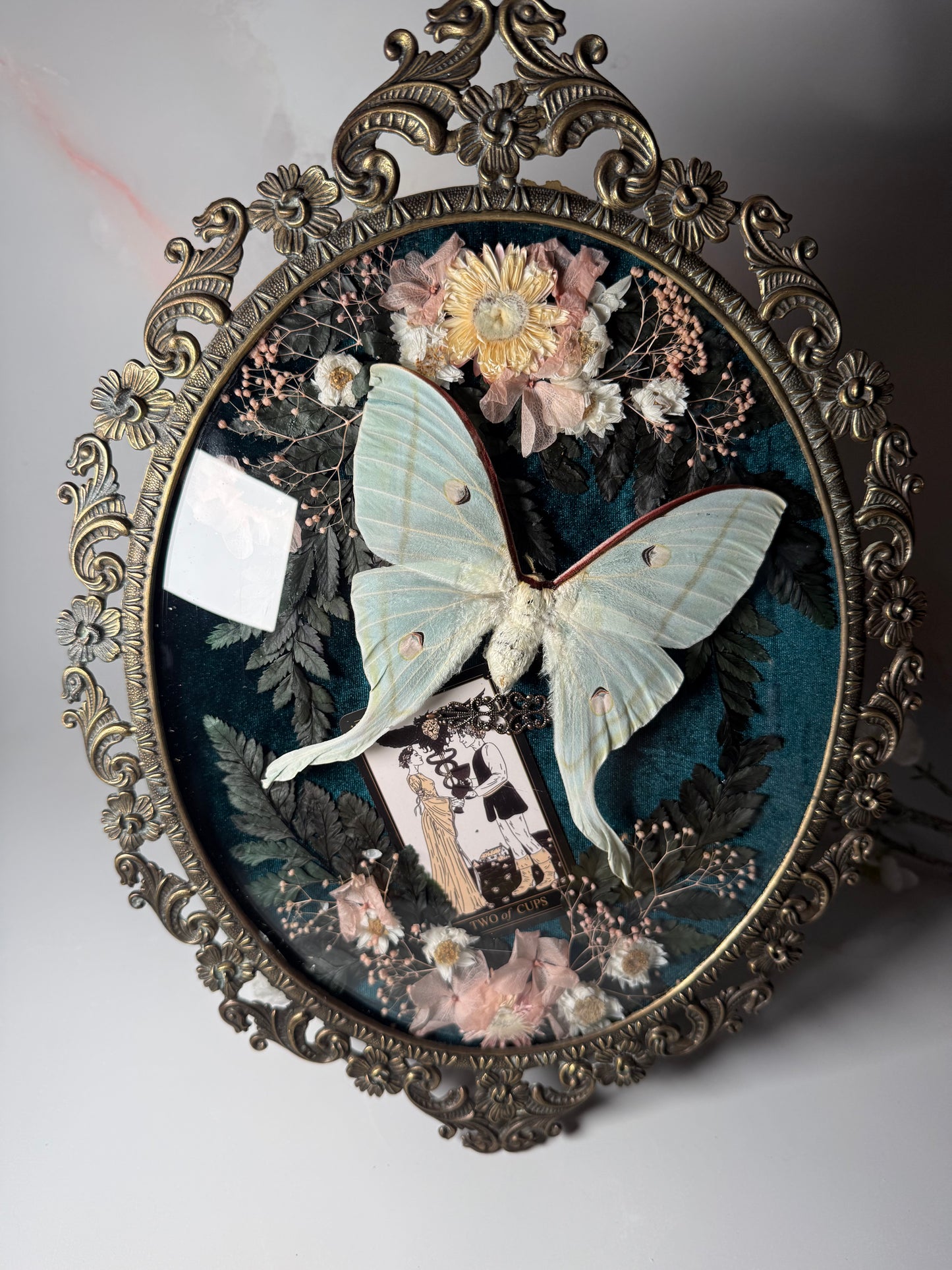 Actius Selene - Antique convex frame two of cups