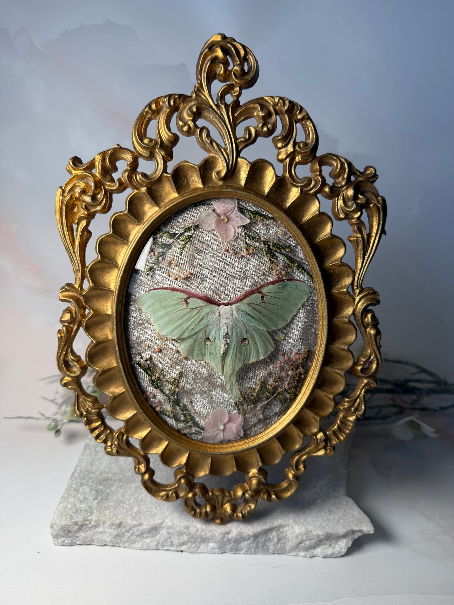 Actius Luna - Antique convex frame