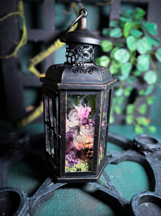 Fae Lantern - Ghost Garden
