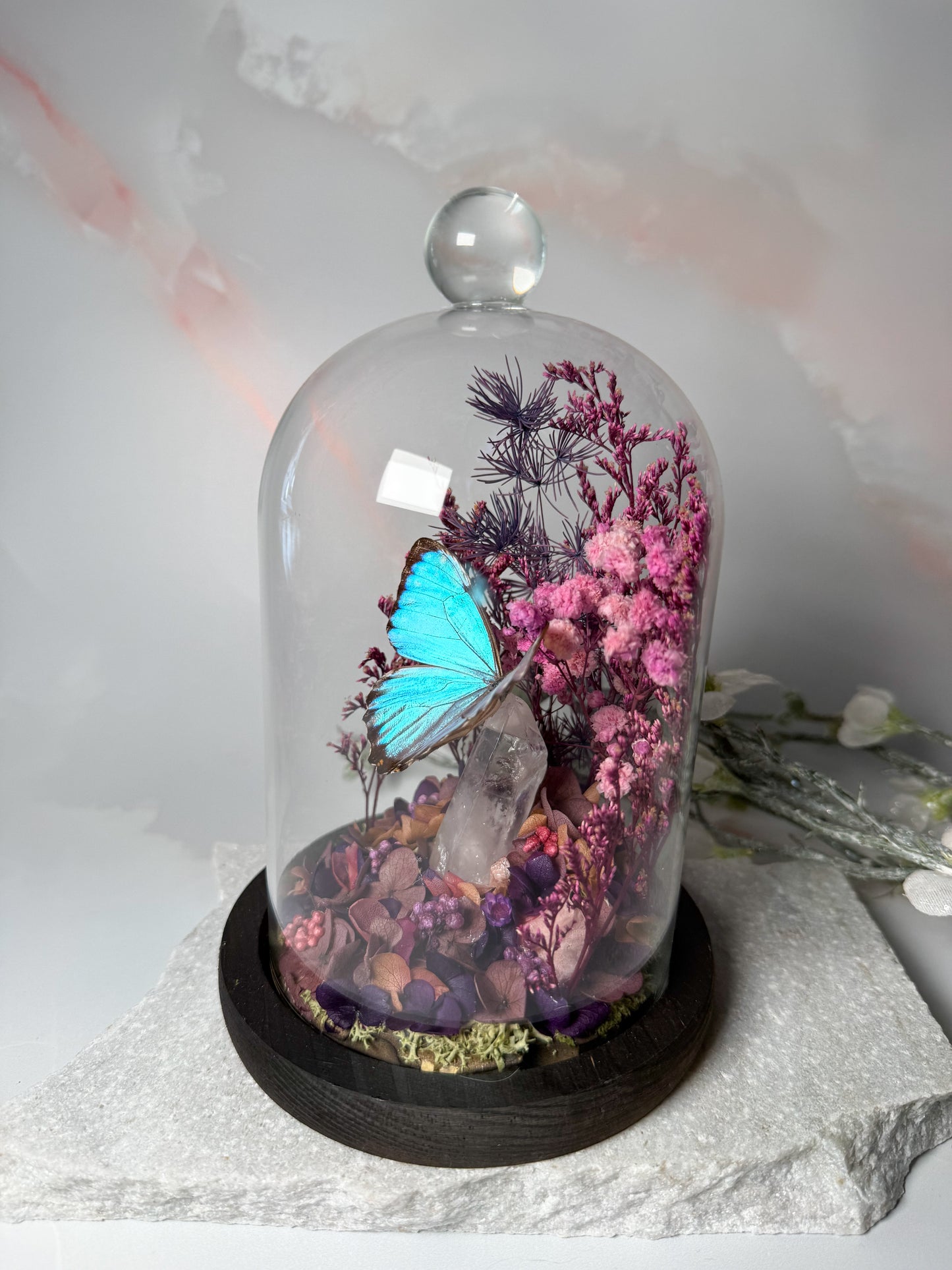 Morpho Portis Cloche dome - Quartz
