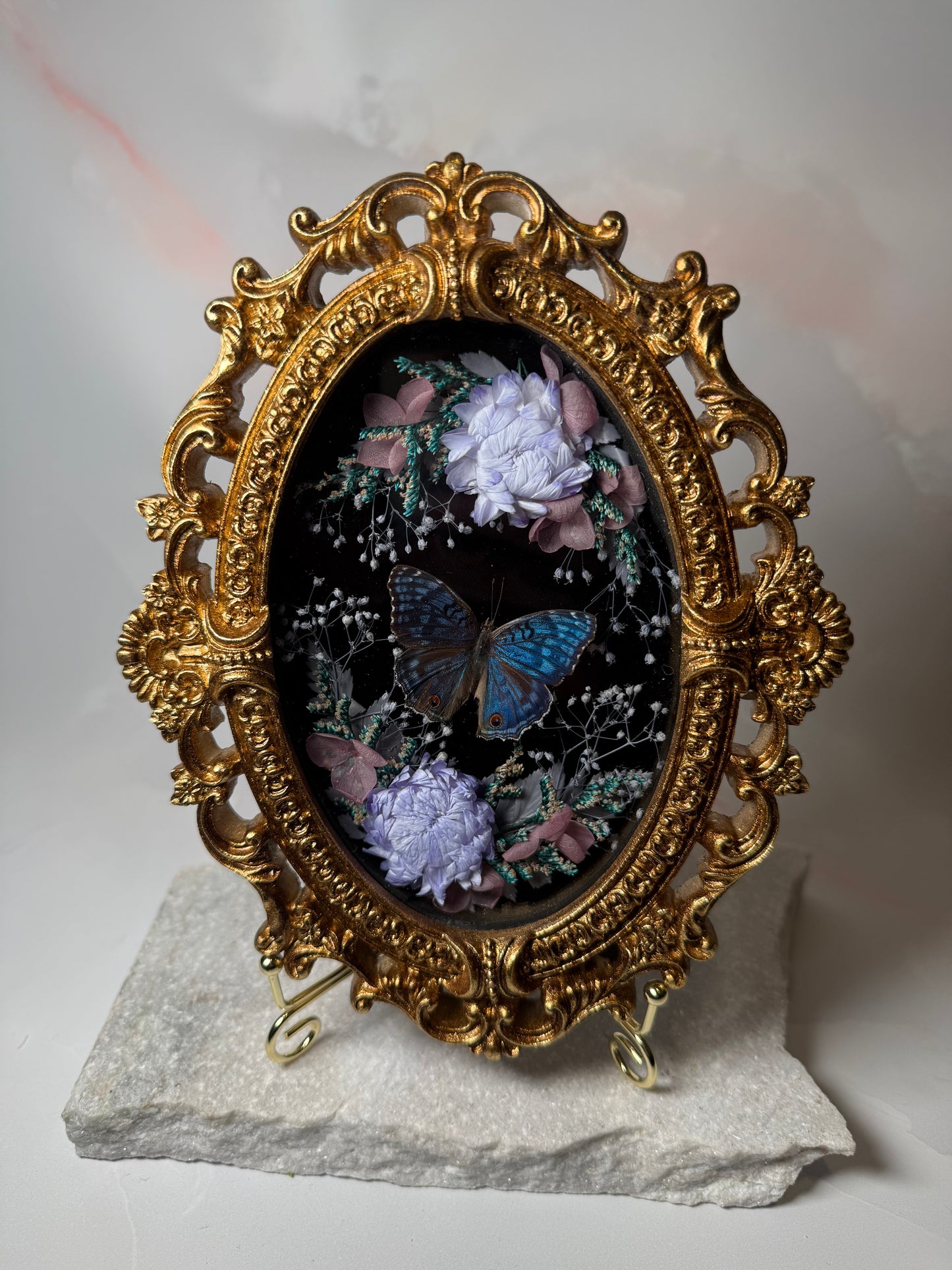 Precis rhadama - Ornate Shadow box