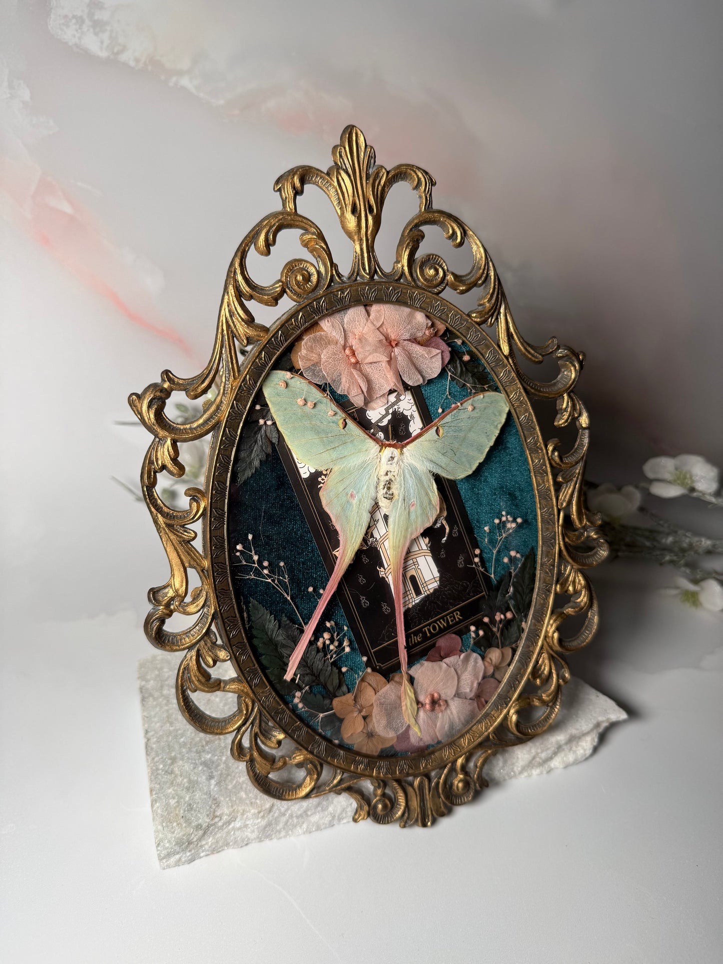 Actius Dubernardi - Antique convex frame