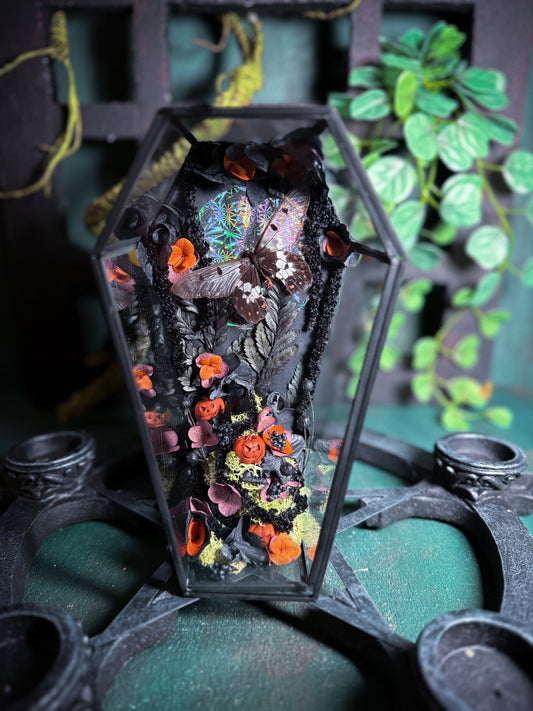 Cressidia Cressidia - Halloween Night