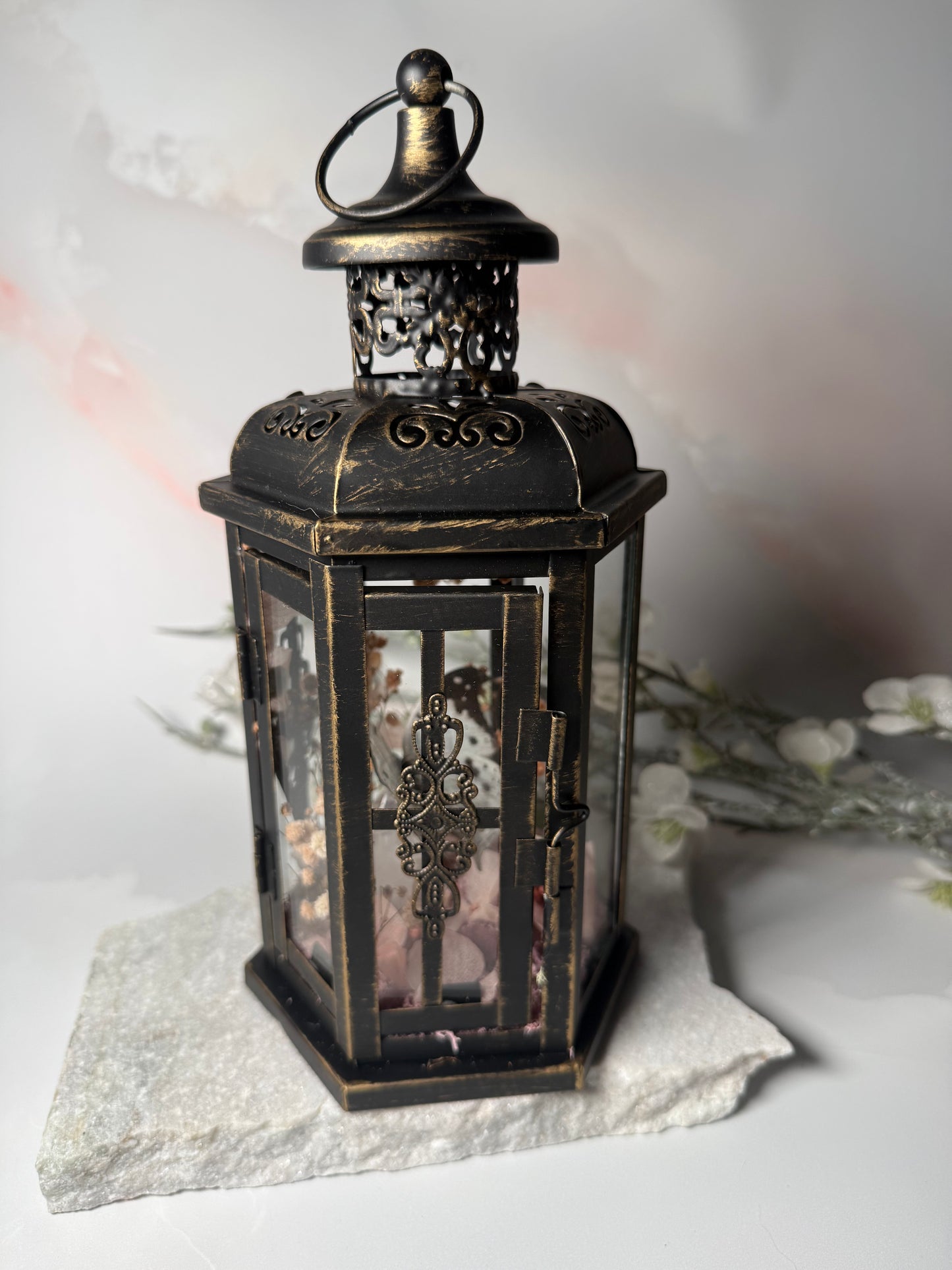 Fae Lantern Salamis Duprei - Sakura
