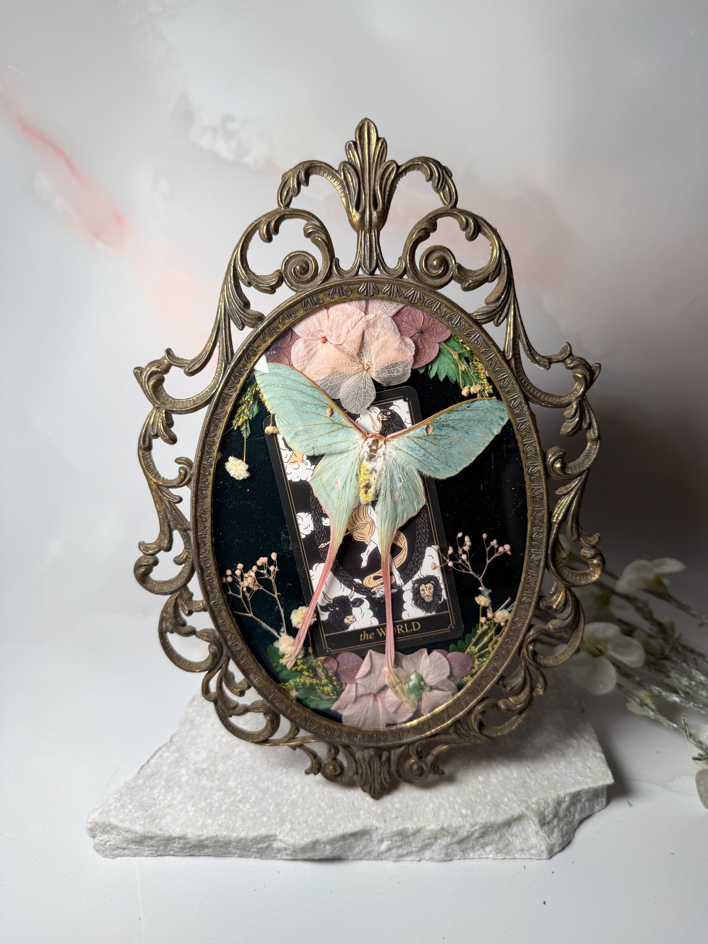 Actius Dubernardi - Antique convex frame