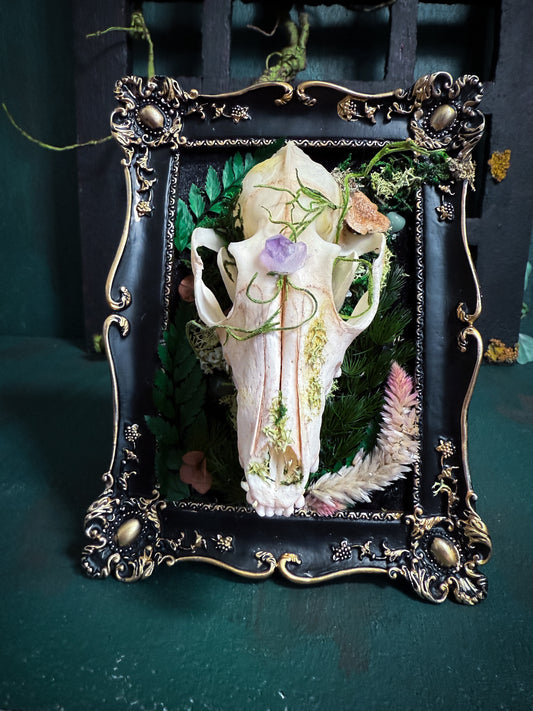Overgrown Fox Skull - Fox Glove