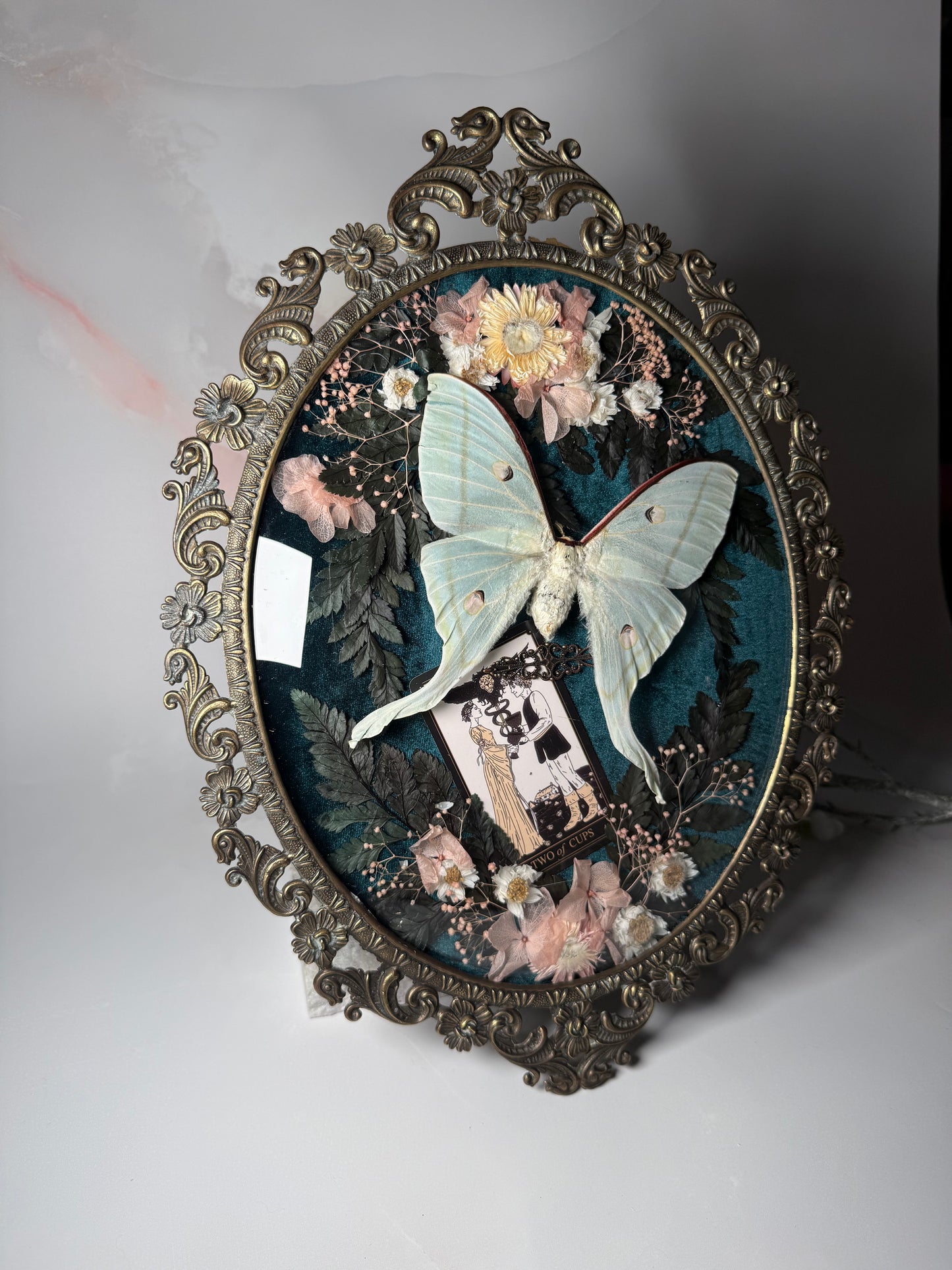 Actius Selene - Antique convex frame two of cups