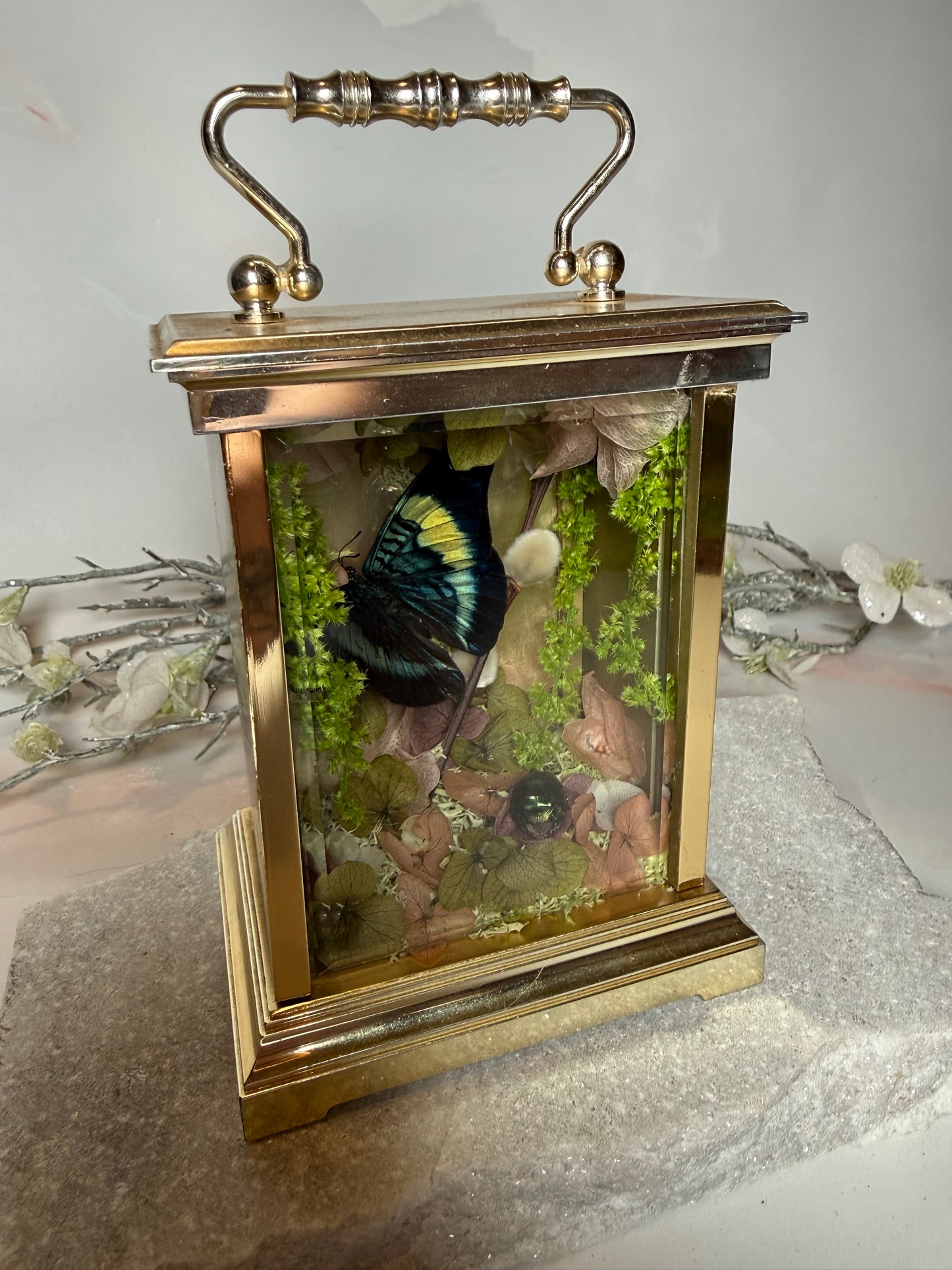 Antique Mantle Clock Dome - Prancea Prolia