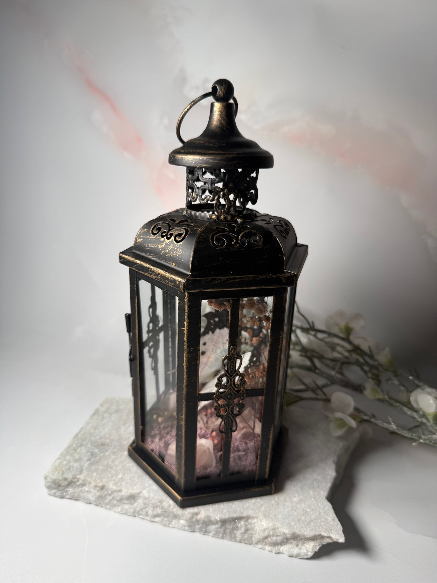 Fae Lantern Salamis Duprei - Sakura