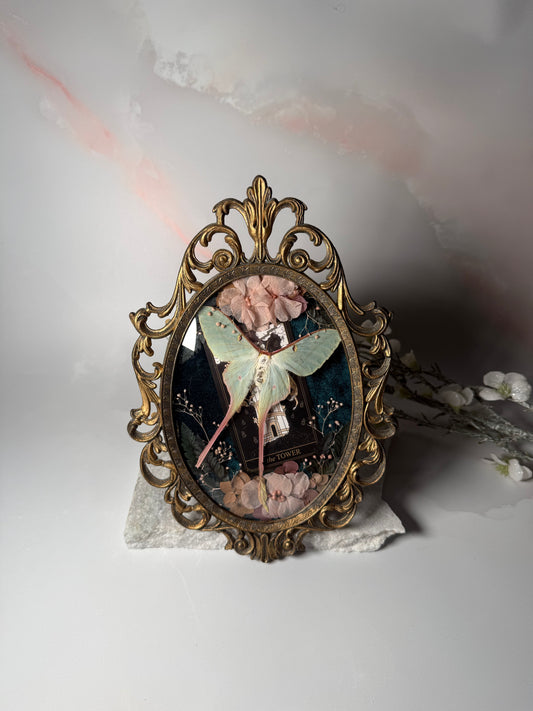 Actius Dubernardi - Antique convex frame