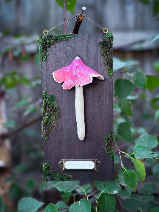 Porpolomopsis calyptriformis - Handsculpted Mushroom Wall Plaque