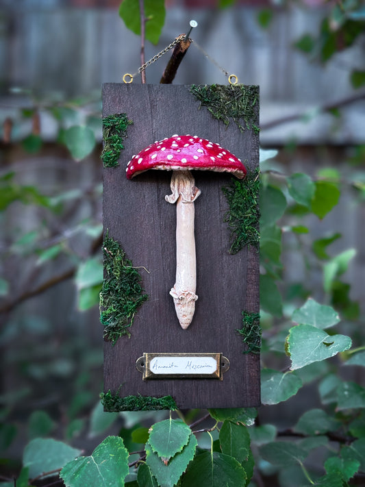 Amanita Muscaria - Handsculpted Mushroom Wall Plaque