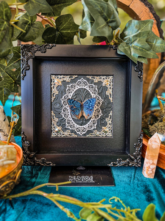 Precis Rhadama A - The Curious Witch Store