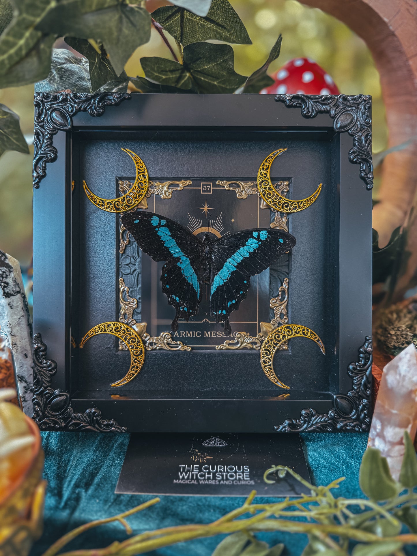 Papilio Orbizus - Karmic message - The Curious Witch Store