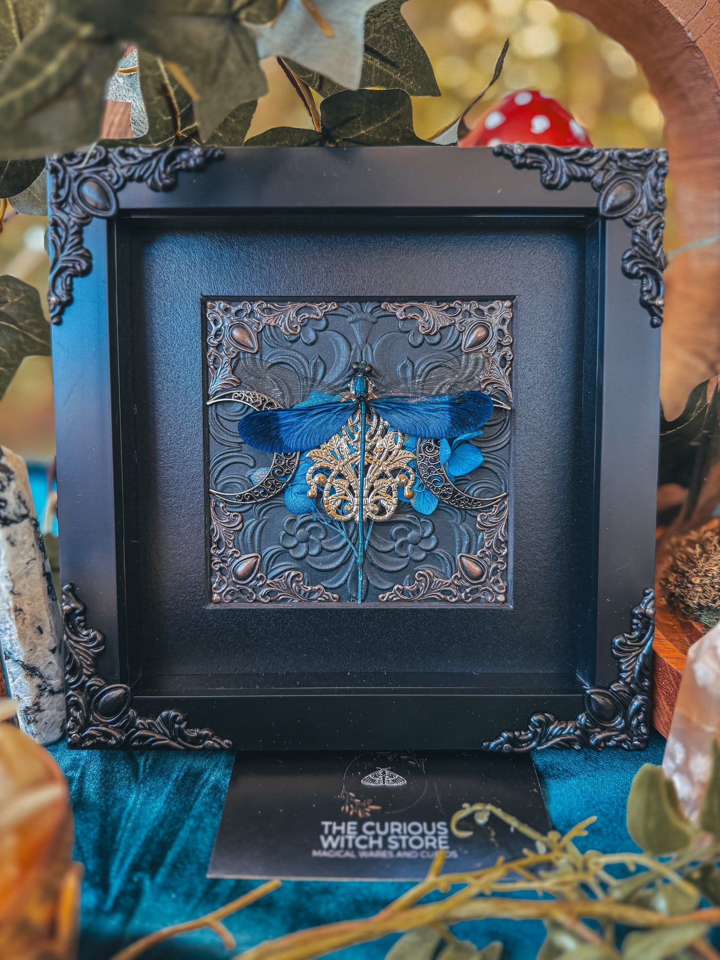 Blue Steam Glory Damselfly Moons - The Curious Witch Store